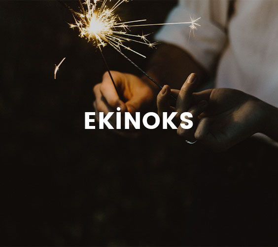 Ayı Ekinoks Şubesi